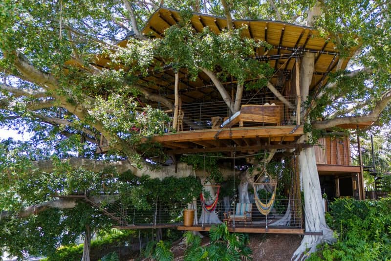 Nhà trên cây