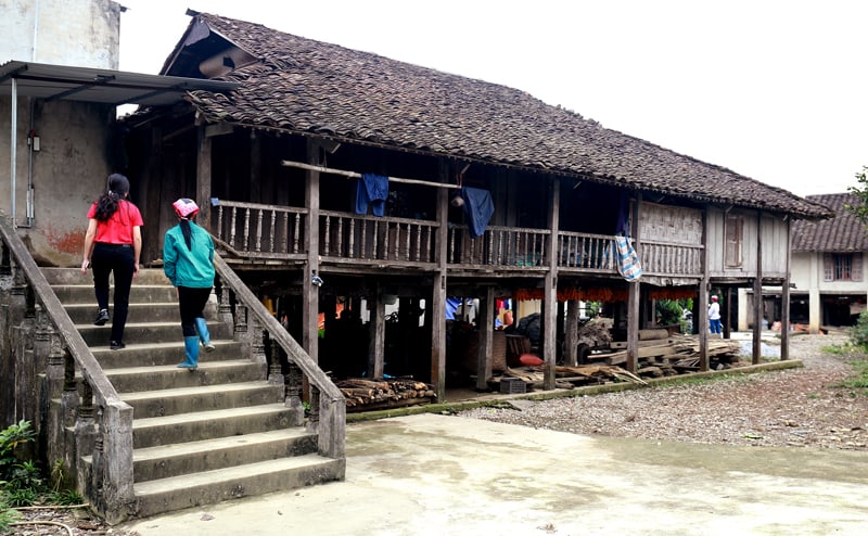 Những mẫu nhà gỗ nghiến Những mẫu nhà gỗ nghiến