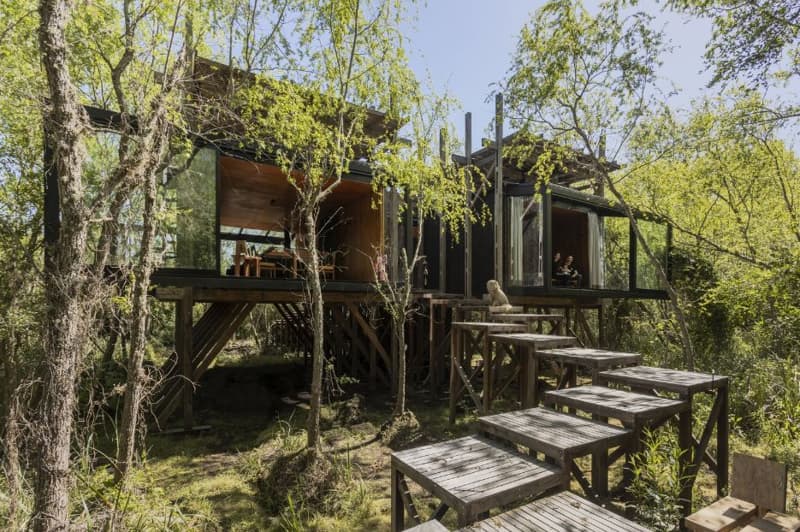 Những mẫu nhà gỗ trong rừng