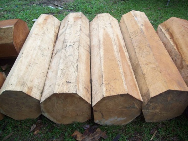 Vật liệu gỗ làm nhà