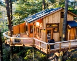 Khám phá các mẫu thiết kế nhà gỗ trên cây đẹp và sáng tạo