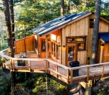 Khám phá các mẫu thiết kế nhà gỗ trên cây đẹp và sáng tạo