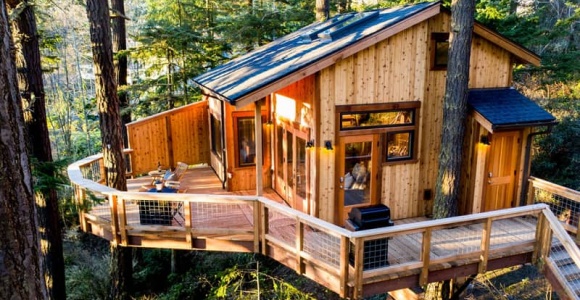 Khám phá các mẫu thiết kế nhà gỗ trên cây đẹp và sáng tạo